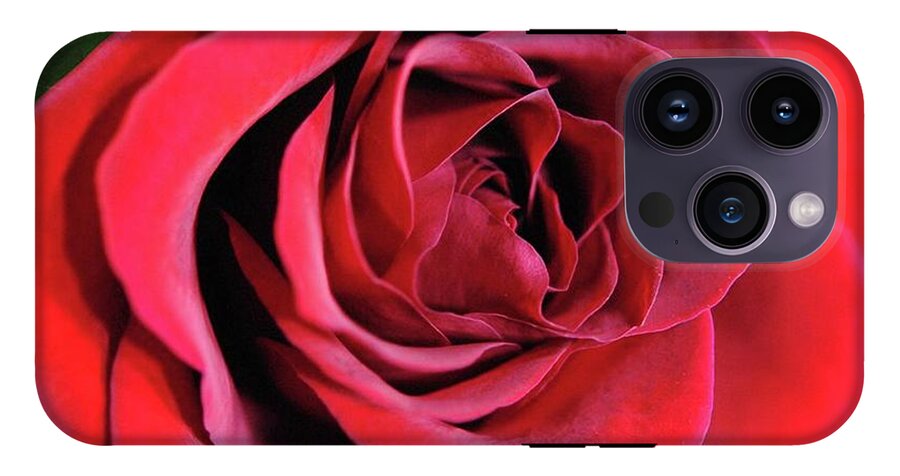 Red Rose Close Up - Phone Case