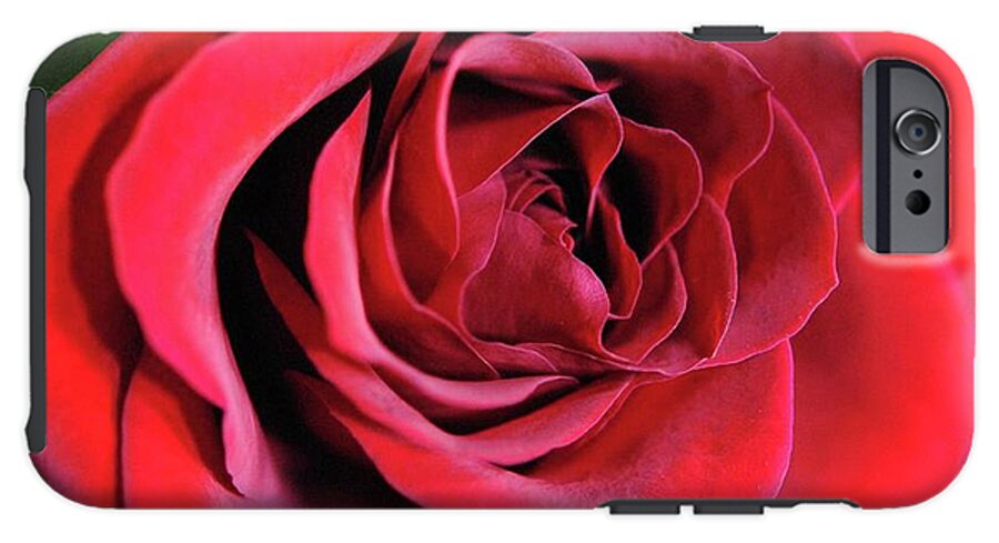Red Rose Close Up - Phone Case