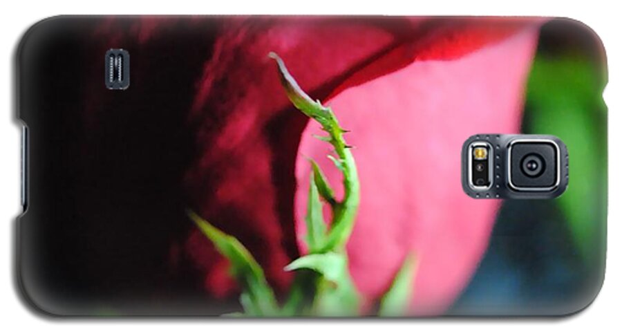 Red Rose Green Stem - Phone Case