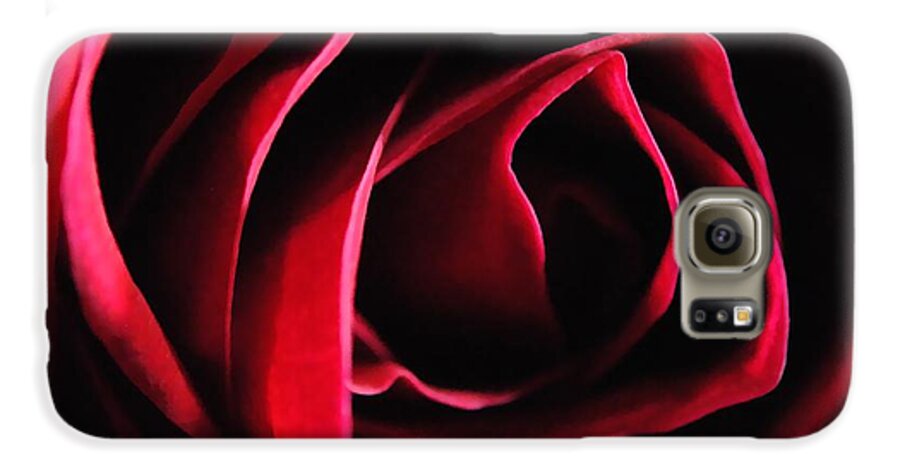 Red Rose in Shadow - Phone Case
