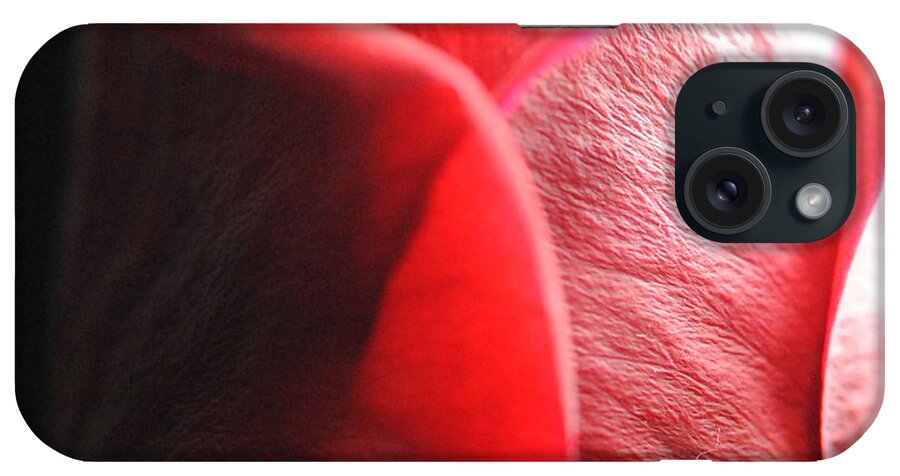 Red Rose in Spotlight - Phone Case
