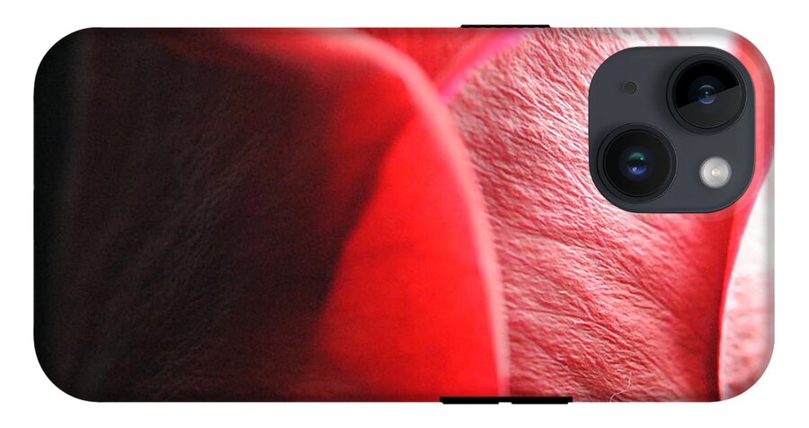 Red Rose in Spotlight - Phone Case