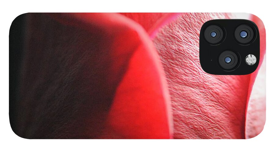 Red Rose in Spotlight - Phone Case