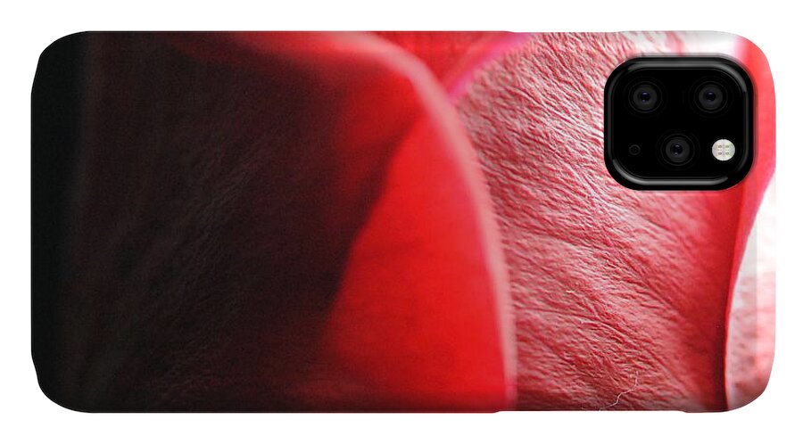 Red Rose in Spotlight - Phone Case