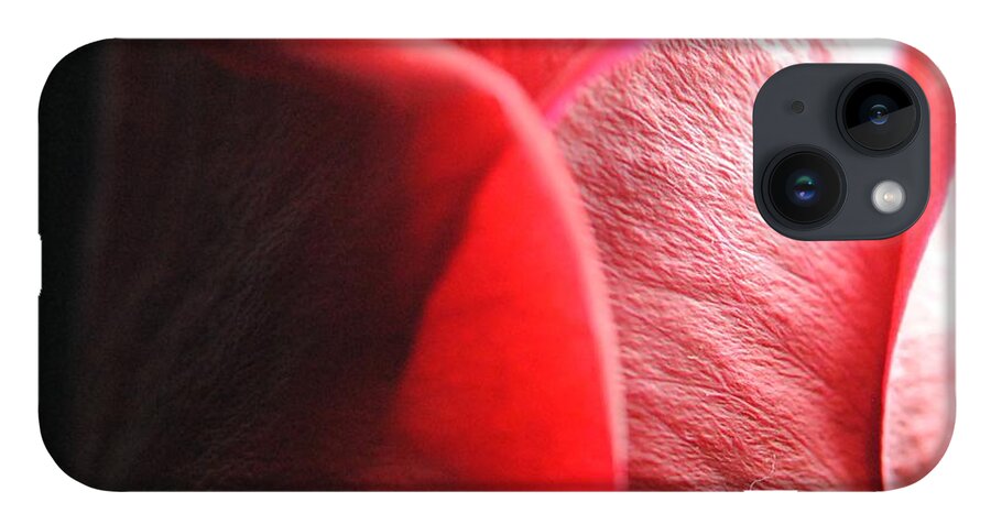 Red Rose in Spotlight - Phone Case