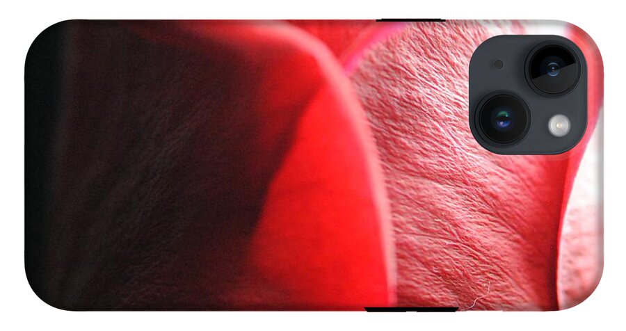 Red Rose in Spotlight - Phone Case