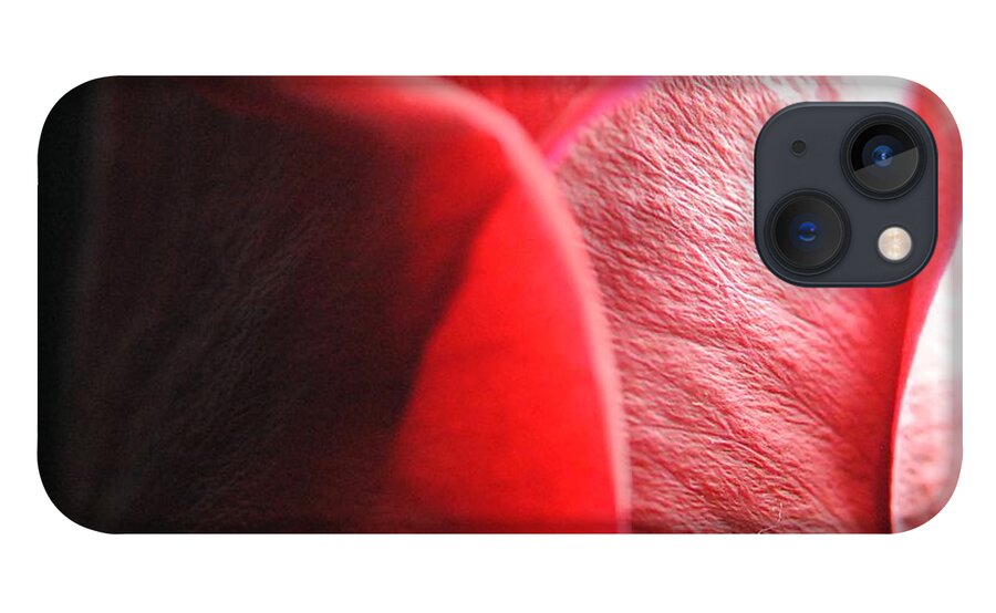 Red Rose in Spotlight - Phone Case