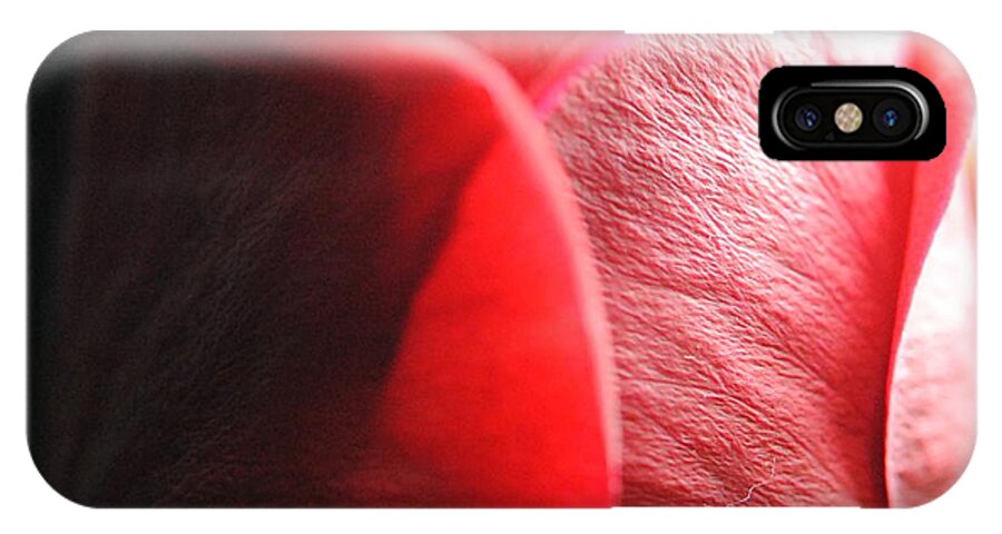 Red Rose in Spotlight - Phone Case