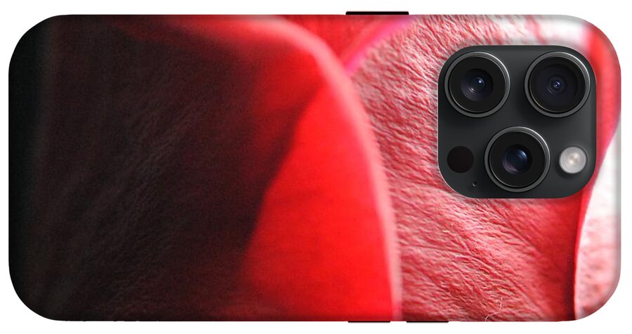Red Rose in Spotlight - Phone Case