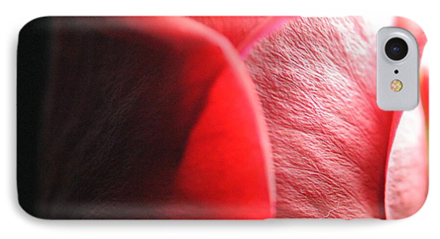 Red Rose in Spotlight - Phone Case