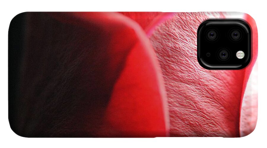 Red Rose in Spotlight - Phone Case