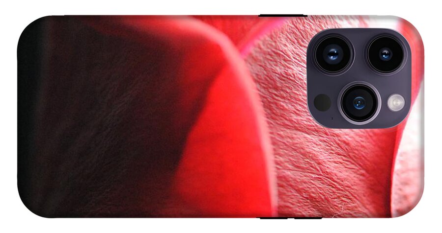Red Rose in Spotlight - Phone Case