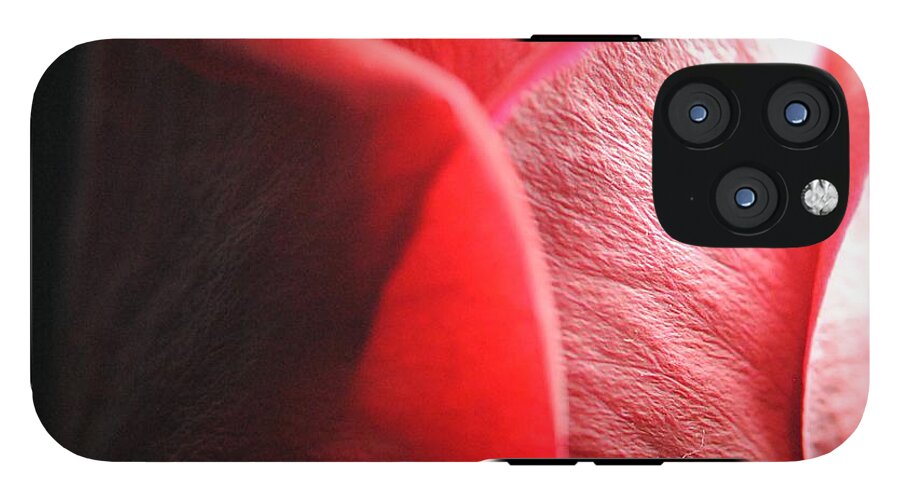 Red Rose in Spotlight - Phone Case