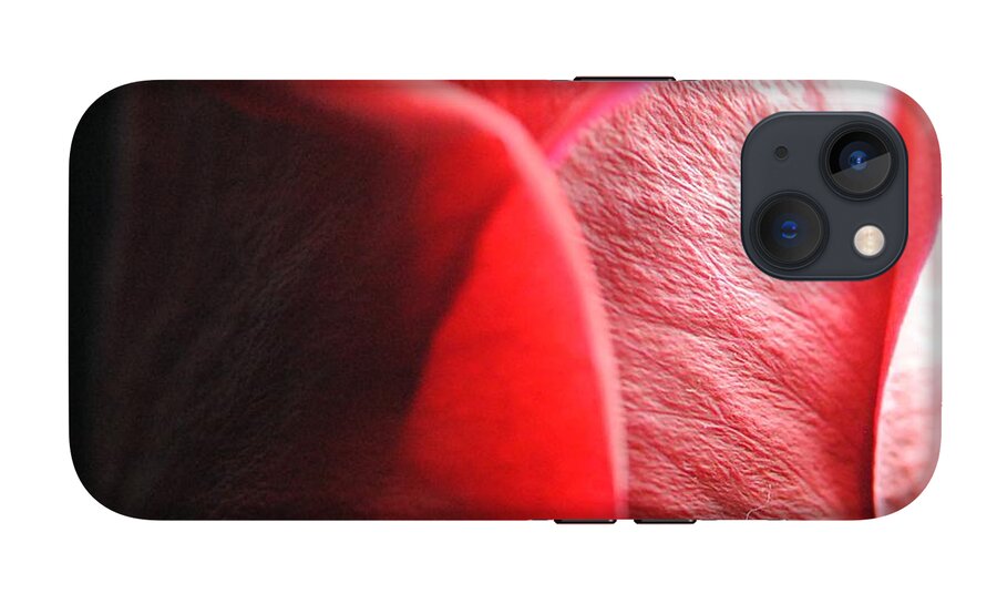 Red Rose in Spotlight - Phone Case