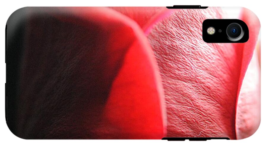 Red Rose in Spotlight - Phone Case