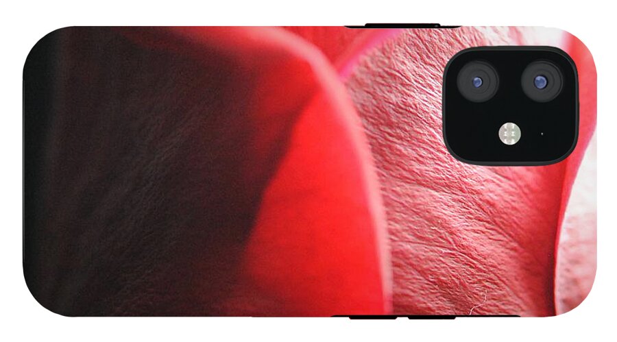 Red Rose in Spotlight - Phone Case
