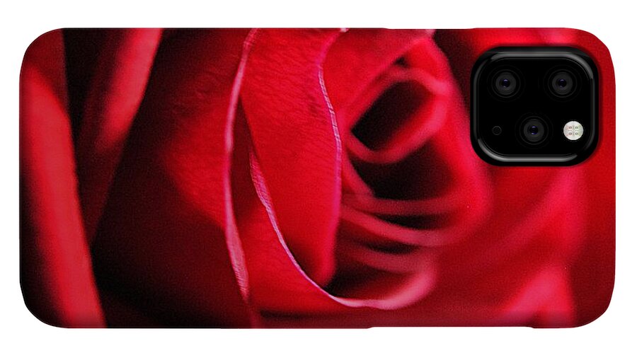 Red Rose Profile - Phone Case