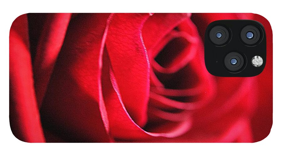 Red Rose Profile - Phone Case