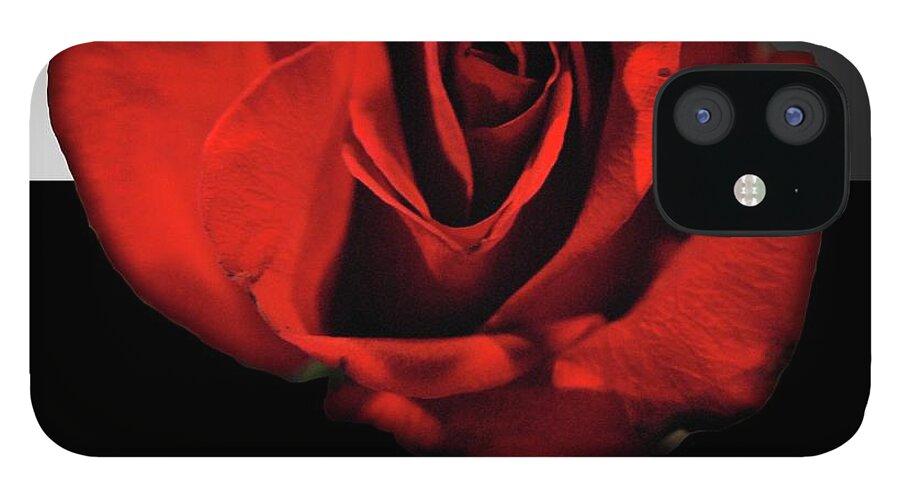Red Rose Reflection - Phone Case