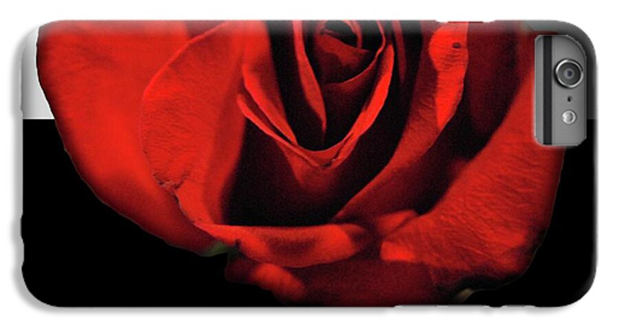 Red Rose Reflection - Phone Case