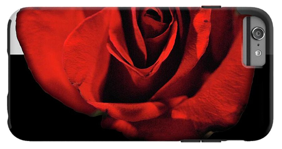 Red Rose Reflection - Phone Case