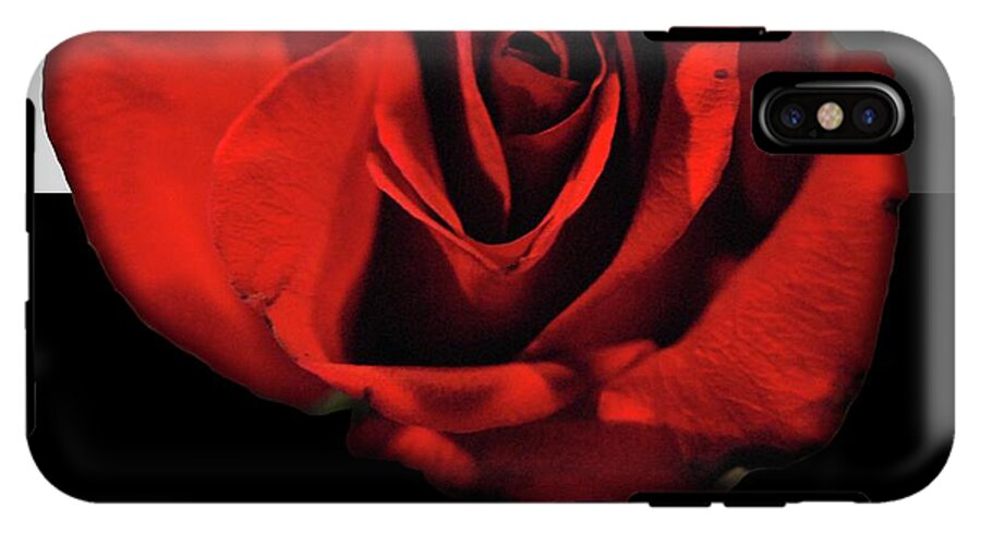 Red Rose Reflection - Phone Case