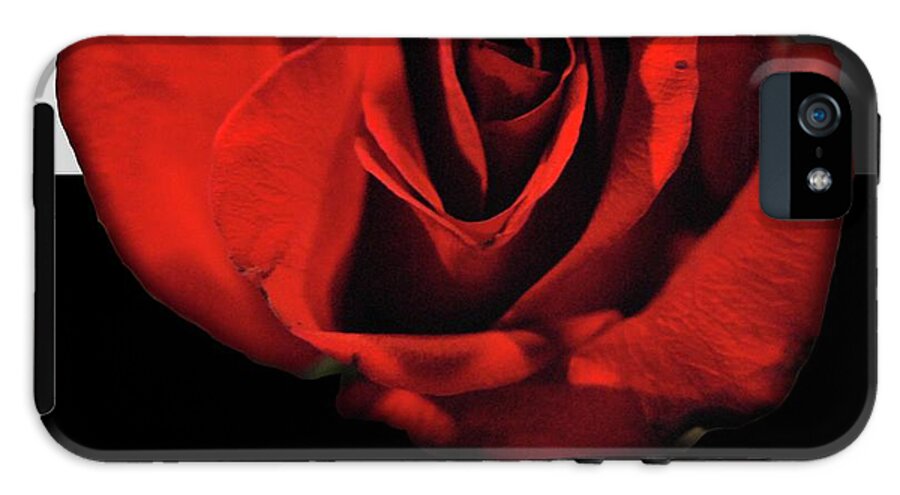 Red Rose Reflection - Phone Case