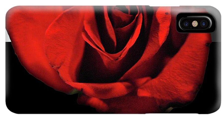 Red Rose Reflection - Phone Case