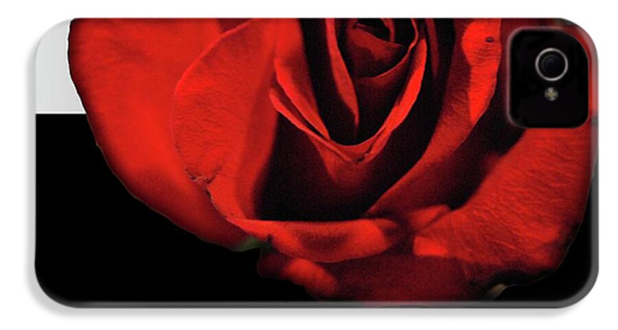 Red Rose Reflection - Phone Case