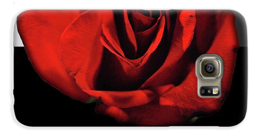 Red Rose Reflection - Phone Case