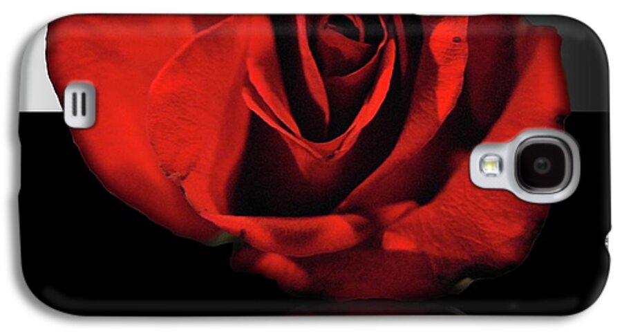 Red Rose Reflection - Phone Case