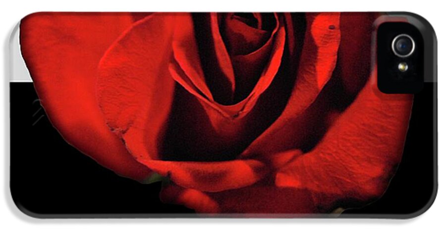 Red Rose Reflection - Phone Case