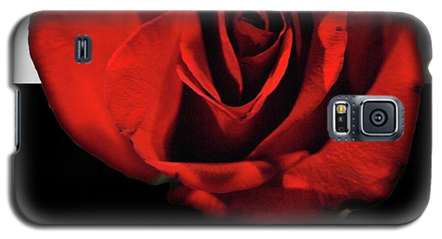 Red Rose Reflection - Phone Case