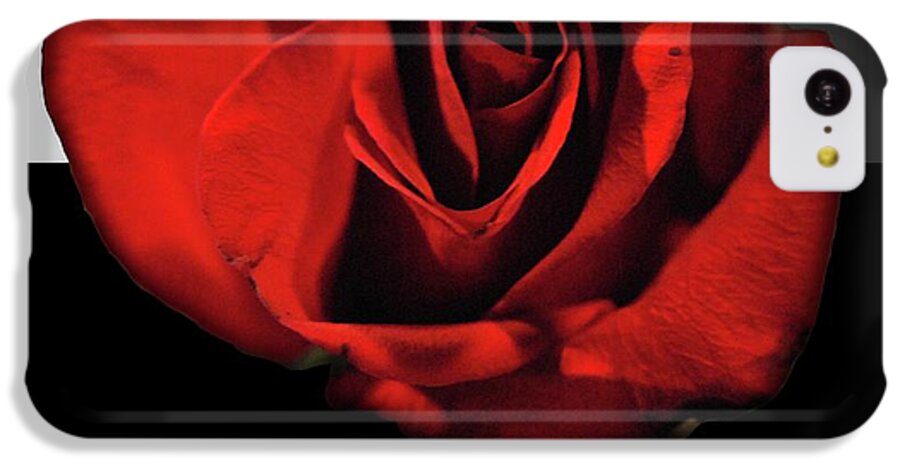 Red Rose Reflection - Phone Case