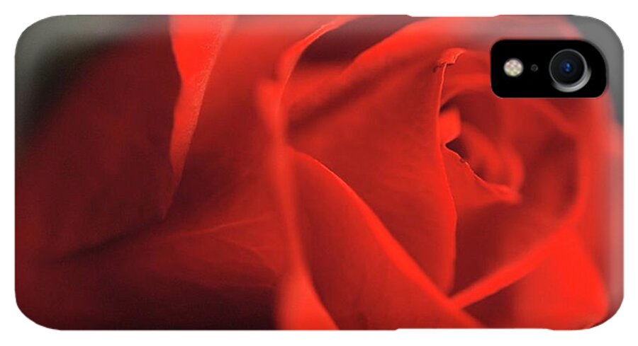 Red Rose With Veins - Phone Case
