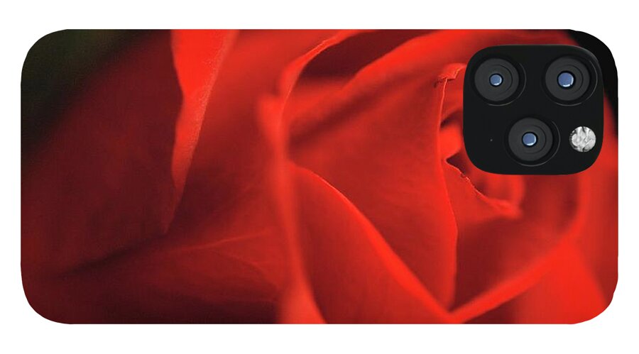 Red Rose With Veins - Phone Case