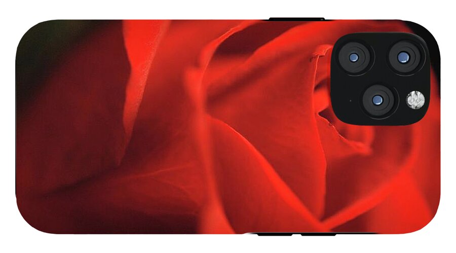 Red Rose With Veins - Phone Case