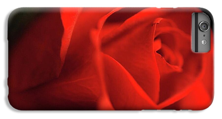 Red Rose With Veins - Phone Case