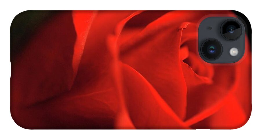 Red Rose With Veins - Phone Case