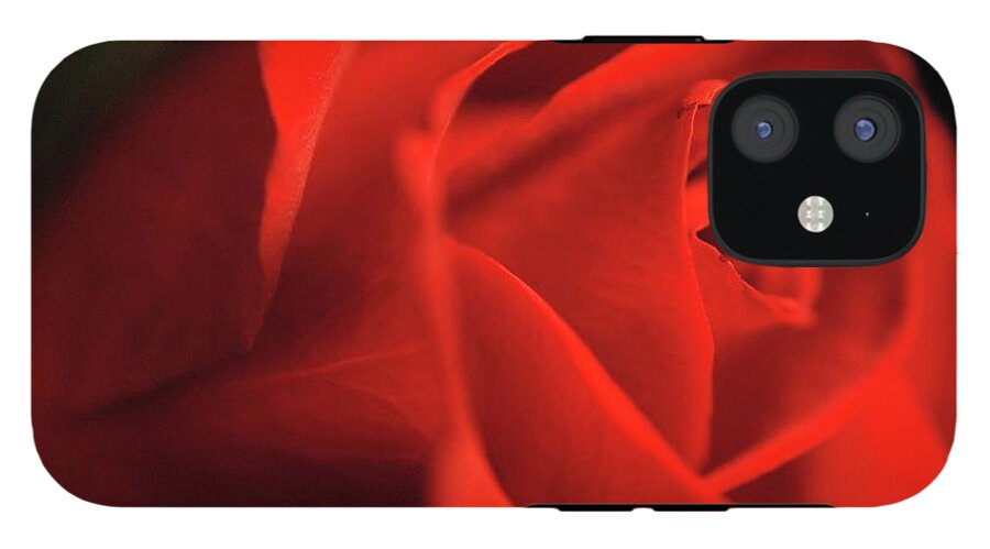 Red Rose With Veins - Phone Case