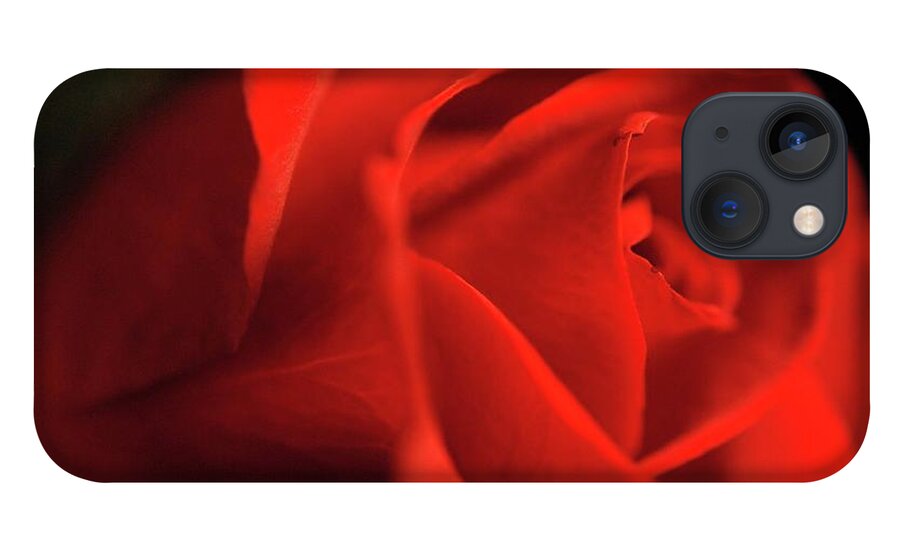 Red Rose With Veins - Phone Case