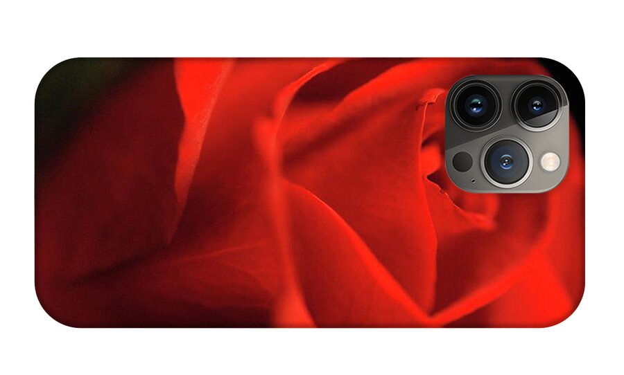 Red Rose With Veins - Phone Case