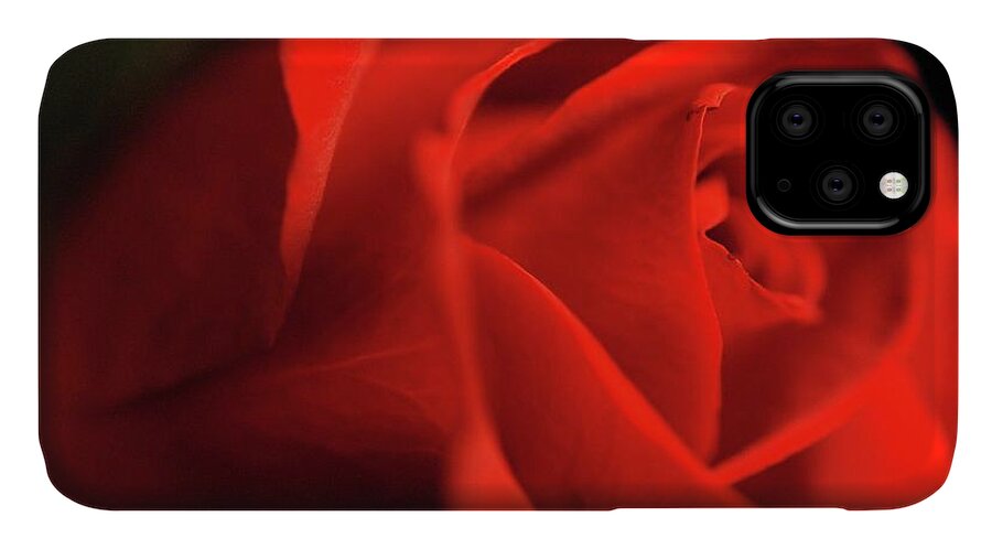 Red Rose With Veins - Phone Case