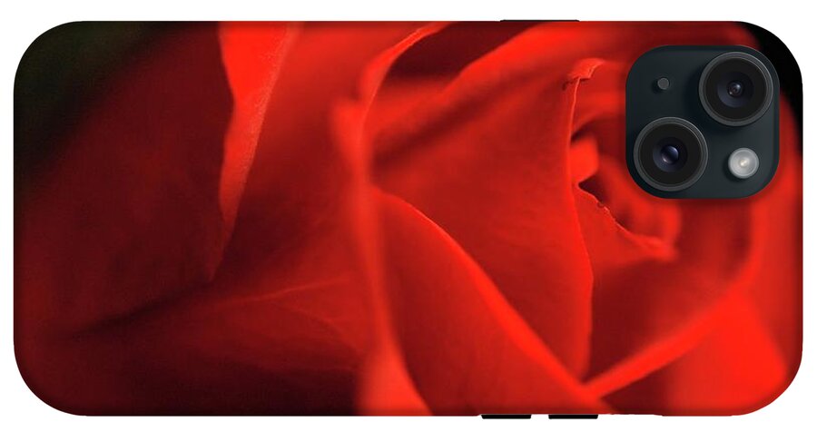 Red Rose With Veins - Phone Case