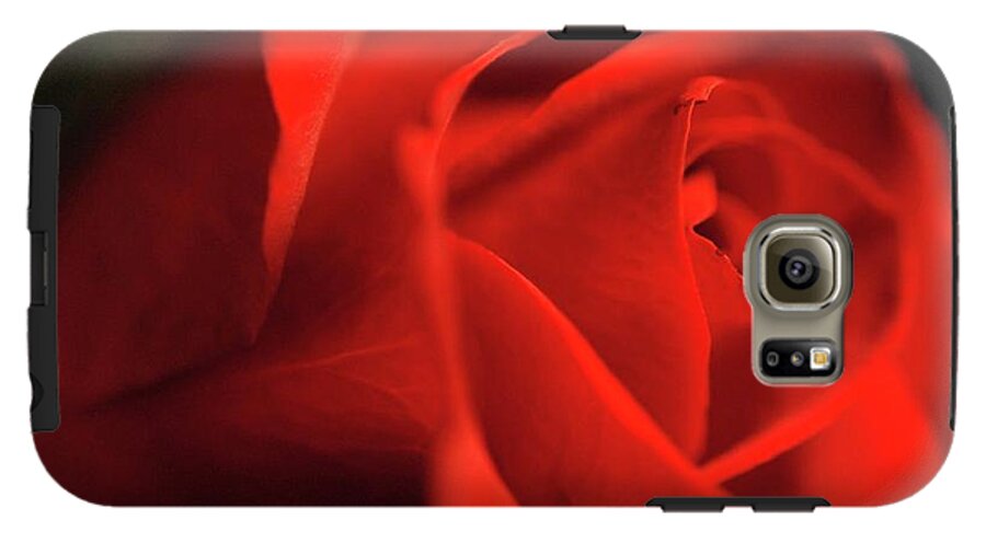 Red Rose With Veins - Phone Case