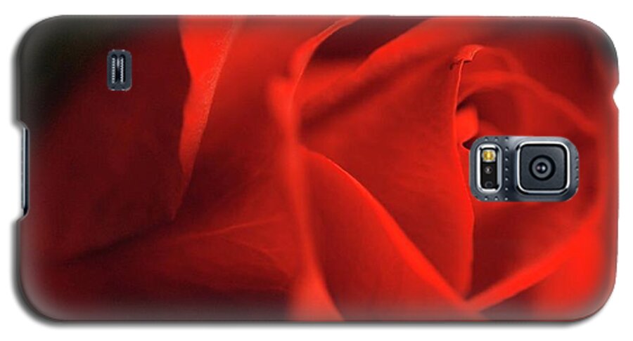 Red Rose With Veins - Phone Case