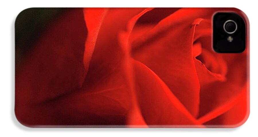 Red Rose With Veins - Phone Case