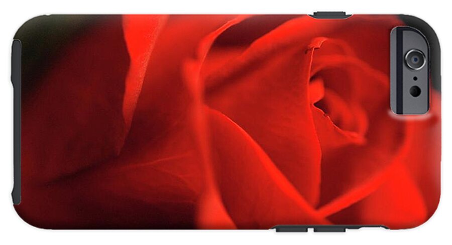 Red Rose With Veins - Phone Case