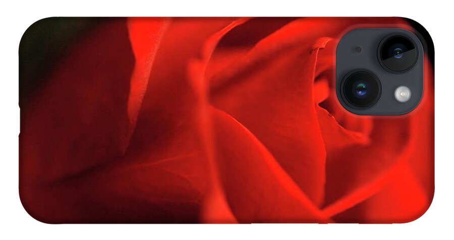 Red Rose With Veins - Phone Case
