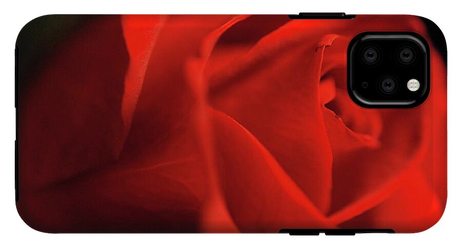 Red Rose With Veins - Phone Case